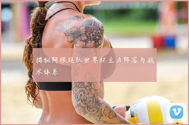 揭秘阿根廷队世界杯主力阵容与战术体系